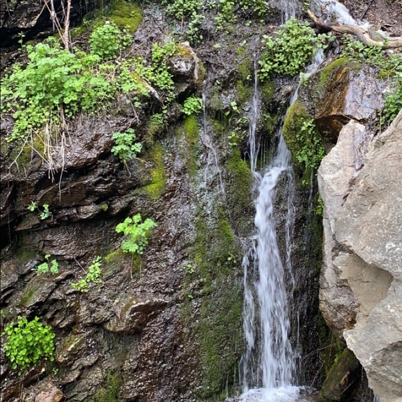 Meet your Posher, Victoria - Picture 1 of 1